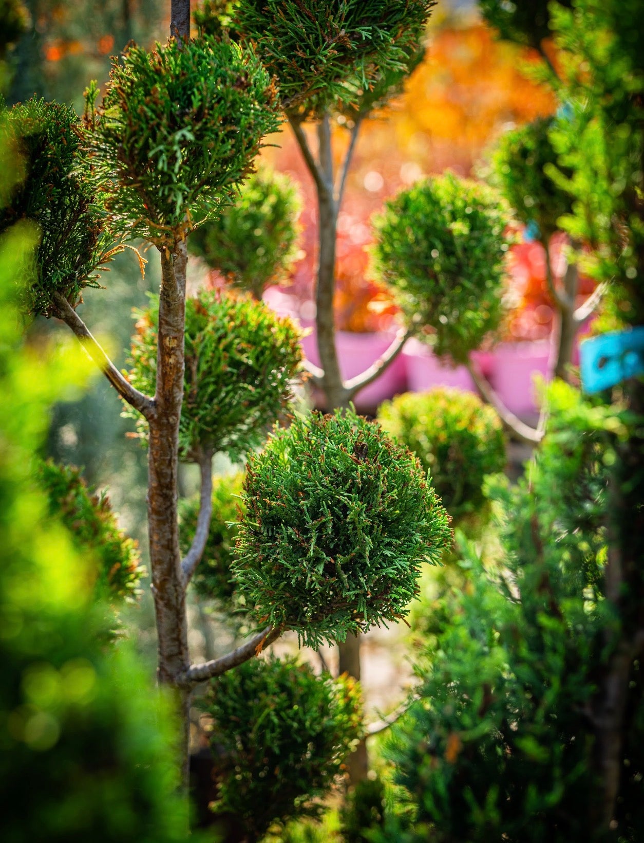 Kézzel készített dekoráció, természet ihlette