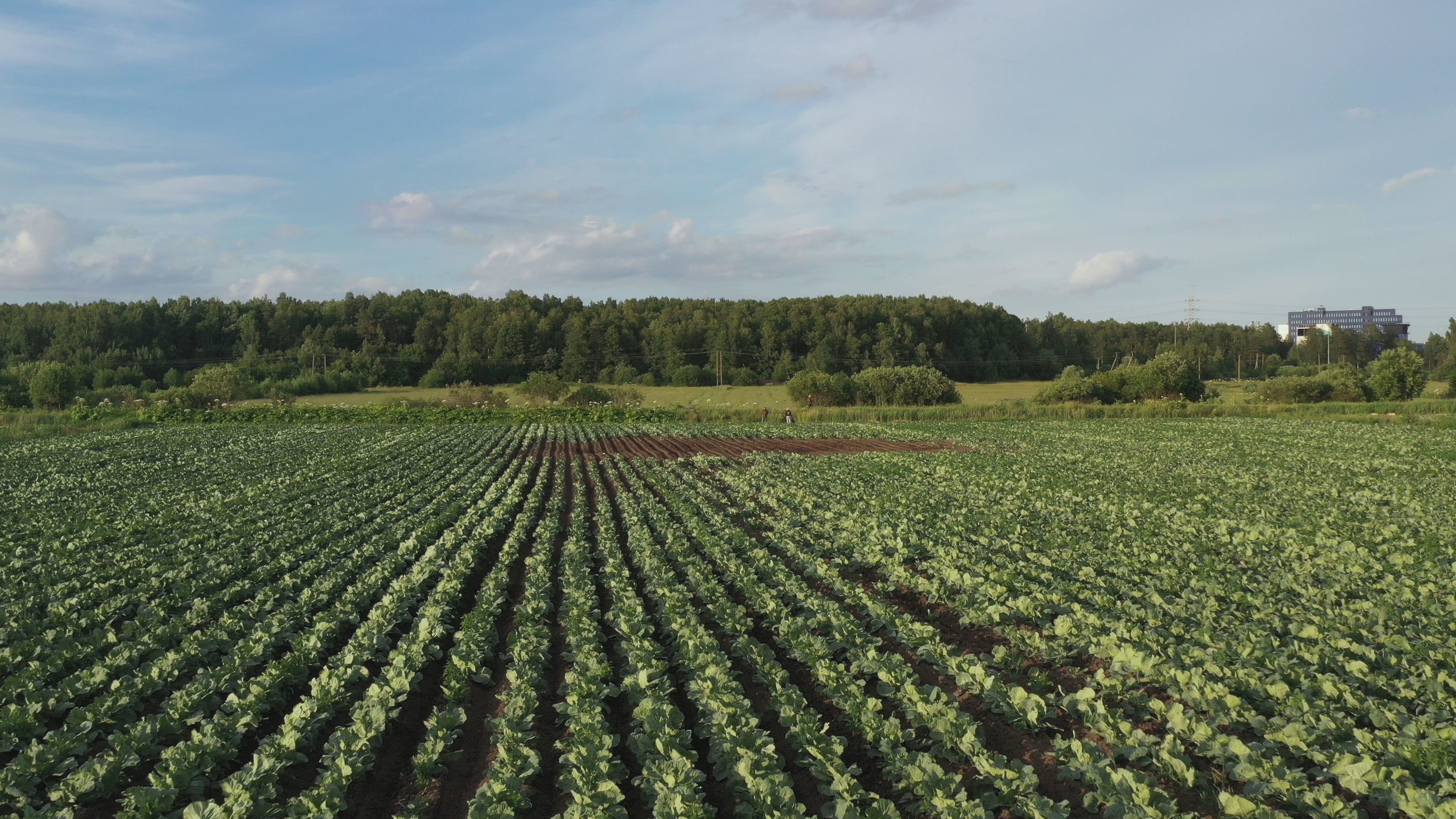 A természet szívéből